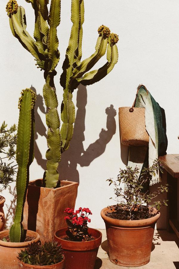 The Finca Ibiza Guest House Santa Gertrudis  Екстериор снимка