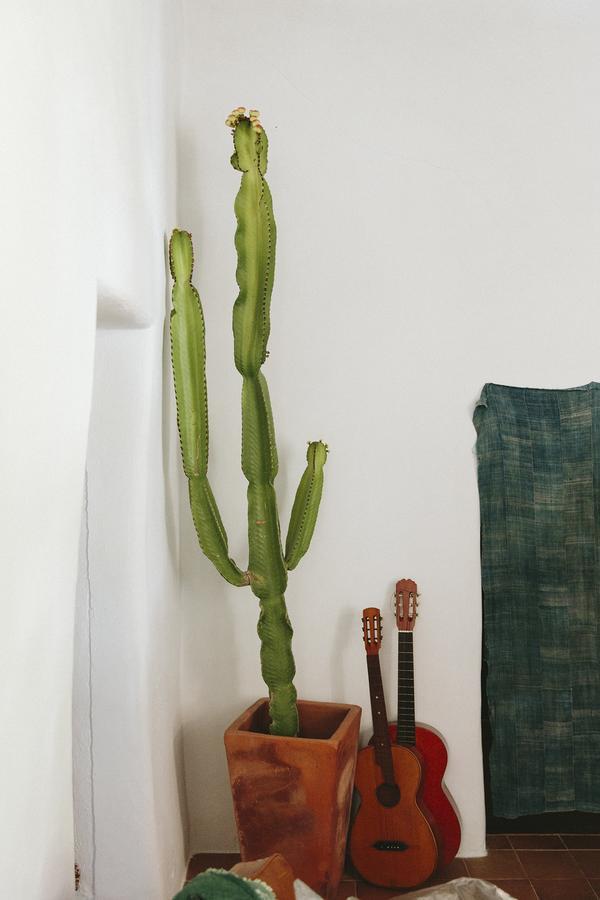 The Finca Ibiza Guest House Santa Gertrudis  Екстериор снимка